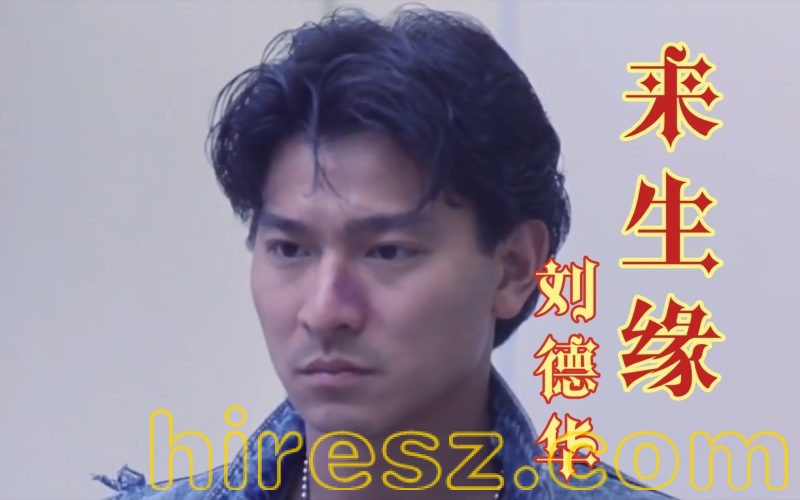 刘德华-来生缘-无损音乐下载