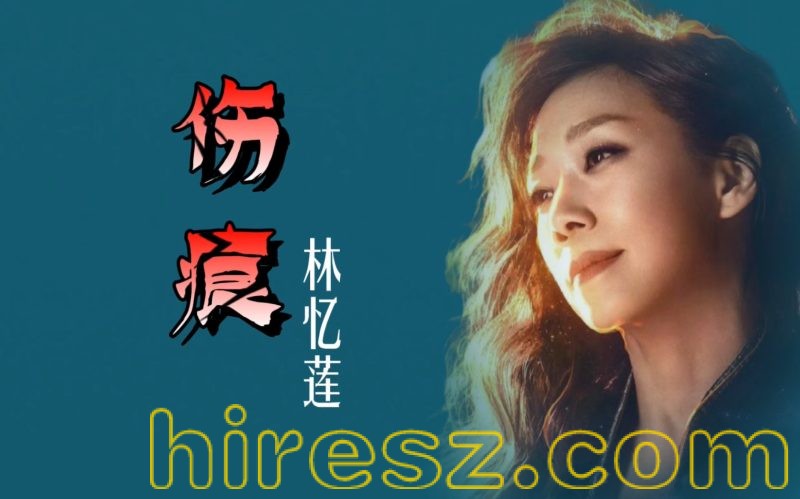 林忆莲-伤痕-无损音乐下载