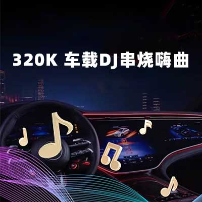 320K 车载DJ串烧嗨曲-hiresz.com