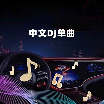 中文DJ单曲-hiresz.com