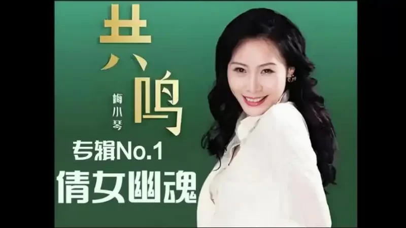 梅小琴-有谁共鸣24BIT-无损音乐下载