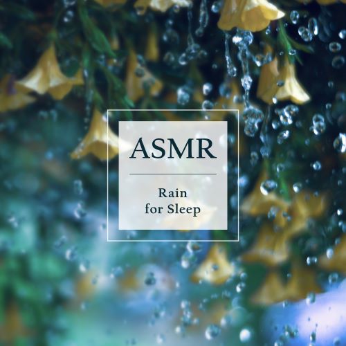 贵族音乐ASMR ASMR白噪音·雨夜花睡眠日-hiresz.com
