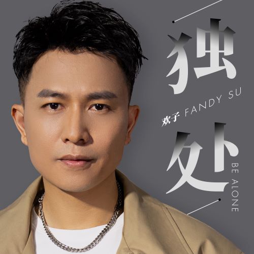 欢子单曲合辑-hiresz.com