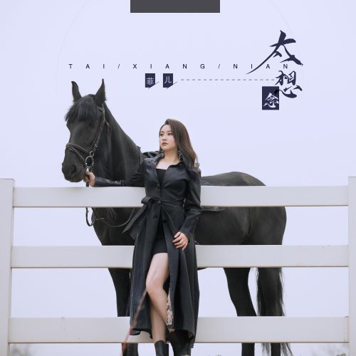 菲儿单曲合辑-hiresz.com