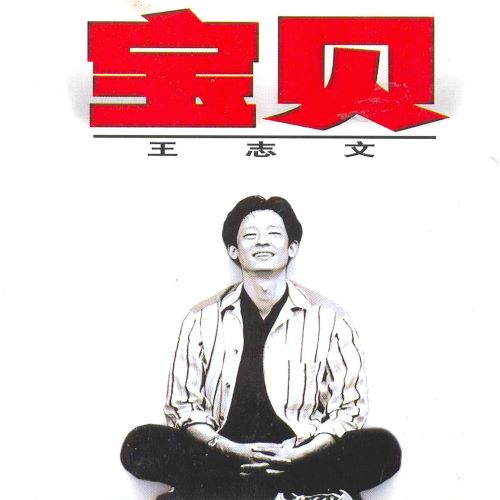 王志文 宝贝-hiresz.com