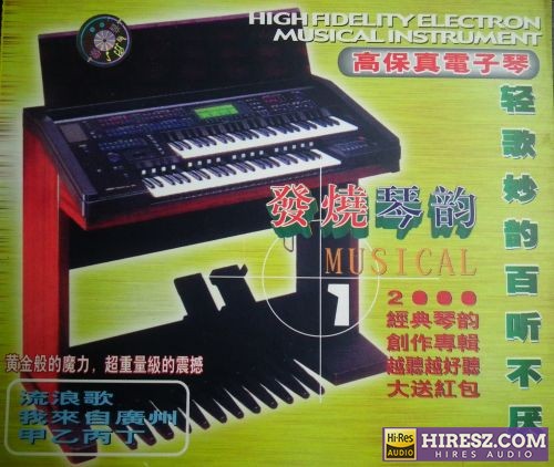 发烧琴韵 高保真电子琴1[WAV+CUE]-hiresz.com