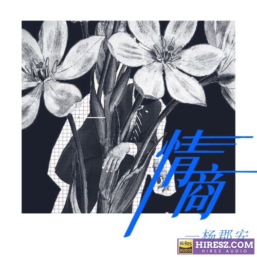 杨郡安单曲合辑-hiresz.com