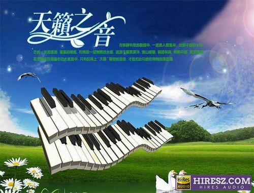 《天籁之音·试音电子琴》(非卖品)[WAV.分轨]-hiresz.com