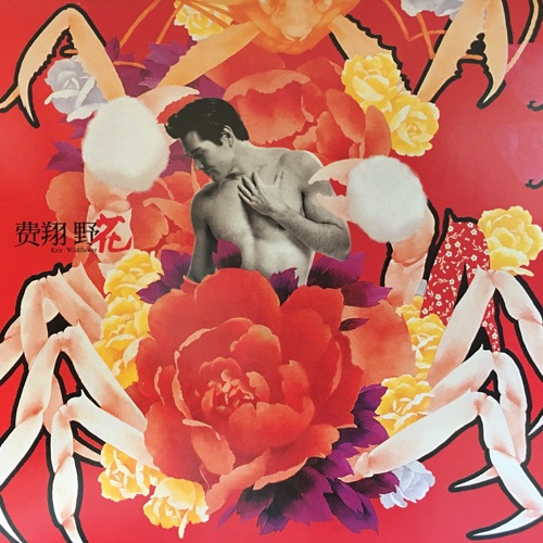 野花 – 费翔-hiresz.com