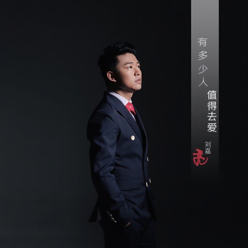 有多少人值得去爱 (伴奏) – Single – 刘嘉亮-hiresz.com