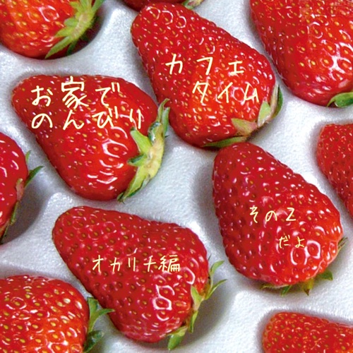 お家でのんびりカフェタイム オカリナ編その2 – 宗次郎-hiresz.com