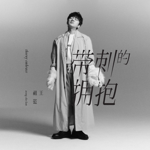 带刺的拥抱 – Single – 王祖蓝-hiresz.com