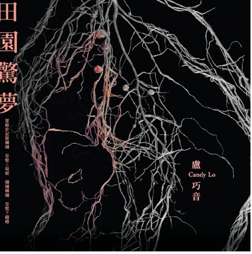 田园惊梦 – Single – 卢巧音-hiresz.com