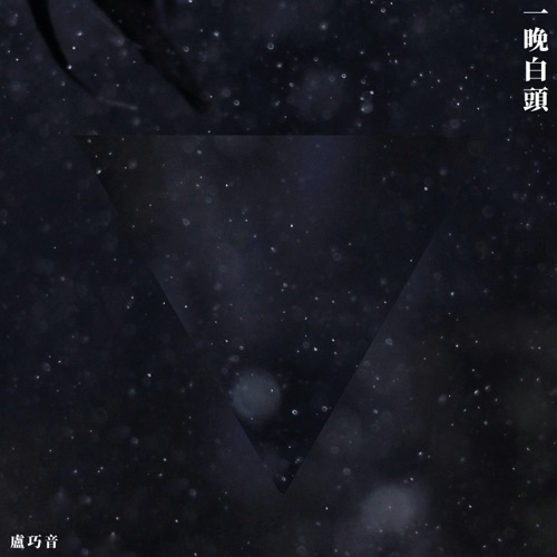 一晚白头 – Single – 卢巧音-hiresz.com