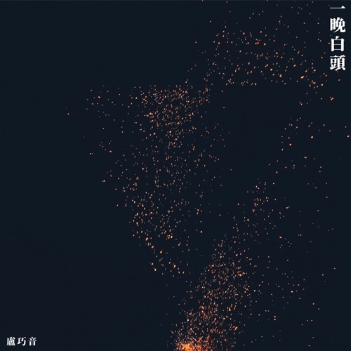 一晚白头 (Rock Version) – Single – 卢巧音-hiresz.com