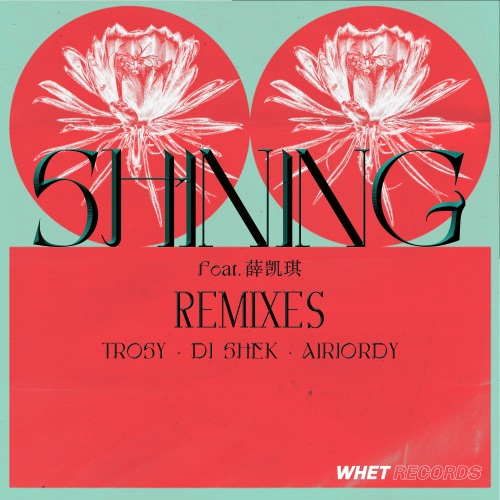 Shining (feat. 薛凯琪) [Remixes] – Single – Lizzy Wang-hiresz.com