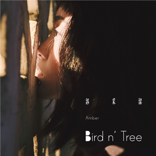 Bird n' Tree - Single - 郭采洁-无损音乐下载