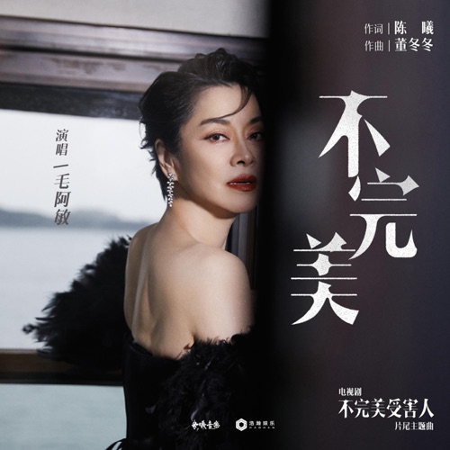不完美(电视剧《不完美受害人》 片尾主题曲) – Single – 毛阿敏-hiresz.com