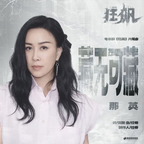 藏无可藏 (电视剧《狂飙》片尾曲) – Single – 那英-hiresz.com