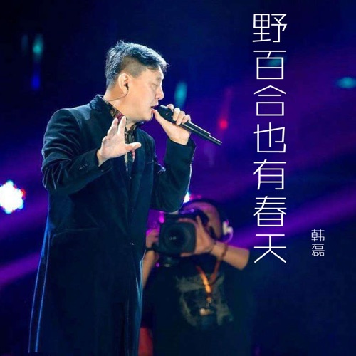 野百合也有春天 – Single – 韩磊-hiresz.com
