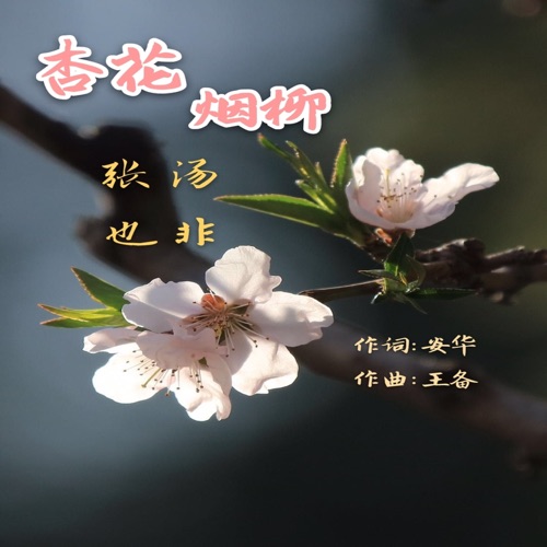 杏花烟柳 – Single – 张也 & 汤非-hiresz.com