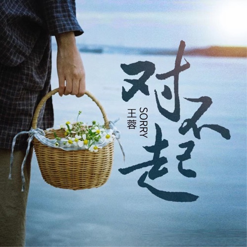 对不起 – Single – 王蓉-hiresz.com