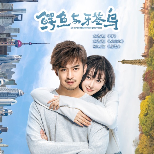 《鳄鱼与牙签鸟》电视剧插曲 – Single – 宋黛霆-hiresz.com