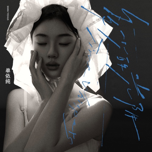 多少的光阴 – Single – 单依纯-hiresz.com