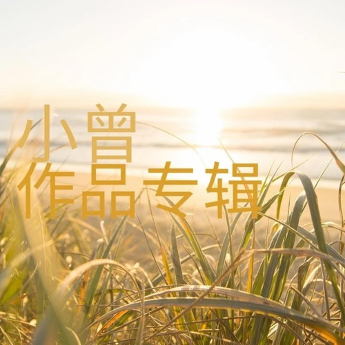小曾作品专辑 – Single – 小曾 & 王宏伟-hiresz.com
