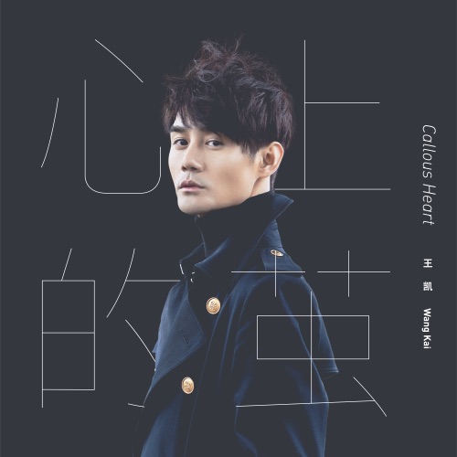 心上的茧 – Single – 王凯-hiresz.com