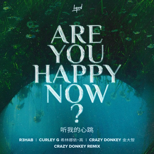 Are You Happy Now (Crazy Donkey Remix) – Single – R3HAB, 希林娜依高 & Crazy Donkey-hiresz.com