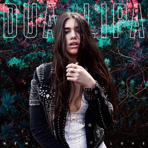 New Love – Single – Dua Lipa-hiresz.com