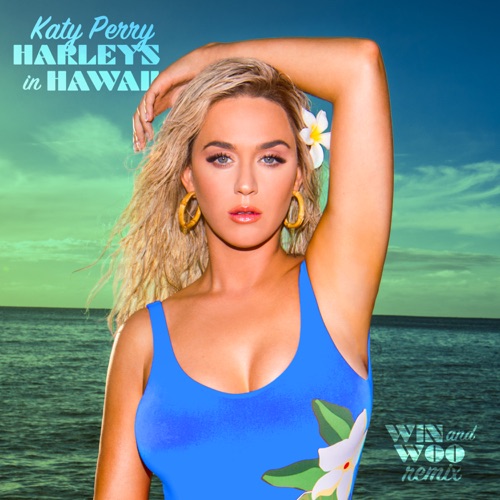 Harleys In Hawaii (Win and Woo Remix) – Single – Katy Perry & Win and Woo-hiresz.com