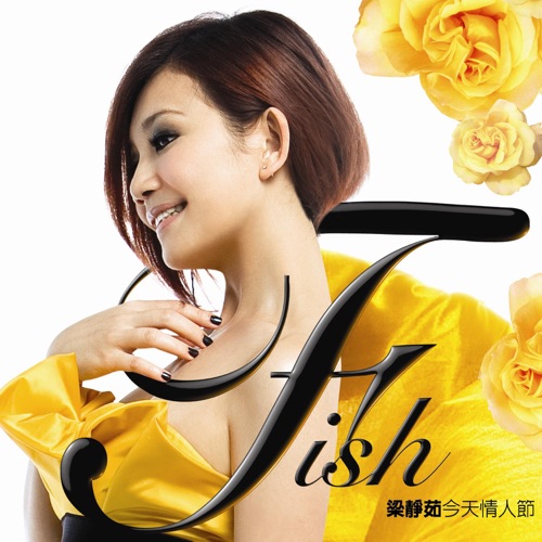 今天情人节 – 梁静茹-hiresz.com