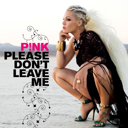 Please Don’t Leave Me – Single – P!nk-hiresz.com
