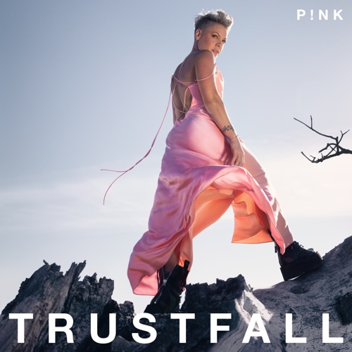 TRUSTFALL – P!nk-hiresz.com