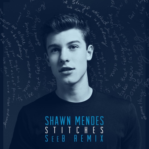 Stitches (SeeB Remix) – Single – Shawn Mendes-hiresz.com