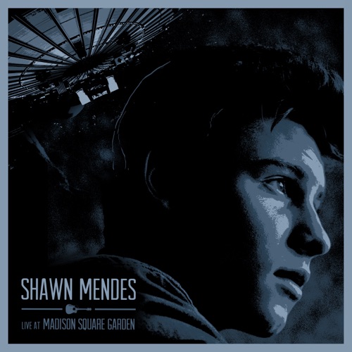 Live at Madison Square Garden – Shawn Mendes-hiresz.com