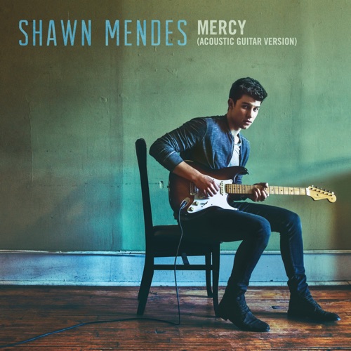 Mercy (Acoustic Guitar) – Single – Shawn Mendes-hiresz.com