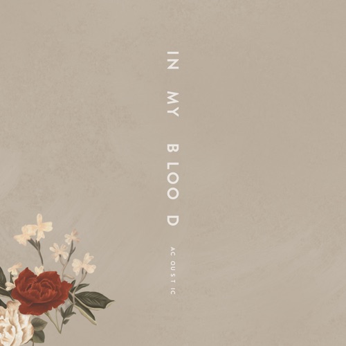 In My Blood (Acoustic) – Single – Shawn Mendes-hiresz.com