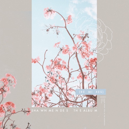 The Album (Remixes) – Single – Shawn Mendes-hiresz.com
