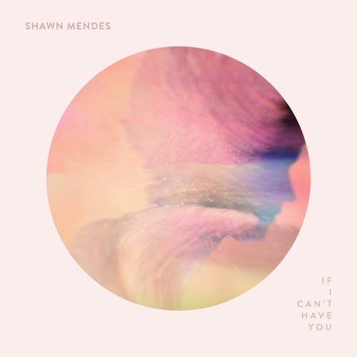 If I Can’t Have You – Single – Shawn Mendes-hiresz.com