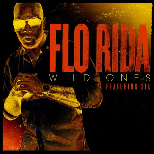 Wild Ones (feat. Sia) – Single – Flo Rida-hiresz.com