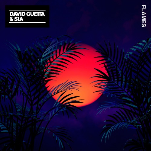 Flames – Single – David Guetta & Sia Furler-无损音乐下载