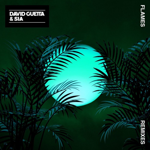 Flames (Remixes 2) – EP – David Guetta & Sia Furler-无损音乐下载
