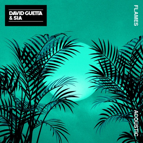 Flames (Acoustic) - Single - David Guetta & Sia Furler-无损音乐下载