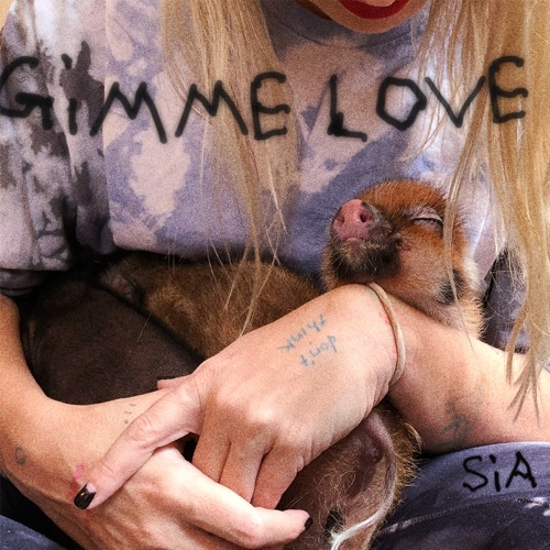 Gimme Love – Single – Sia Furler-hiresz.com