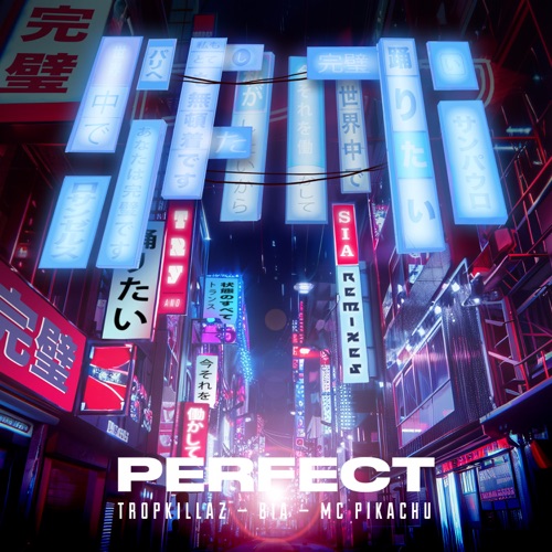 Perfect (feat. BIA & Mc Pikachu) – Single – Sam i, Sia Furler & Tropkillaz-hiresz.com