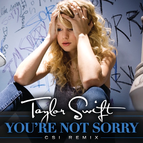 You’re Not Sorry (CSI Remix) – Single – Taylor Swift-hiresz.com