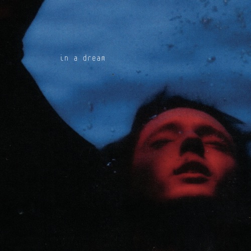 In A Dream (Bonus Track Version) – Troye Sivan-hiresz.com